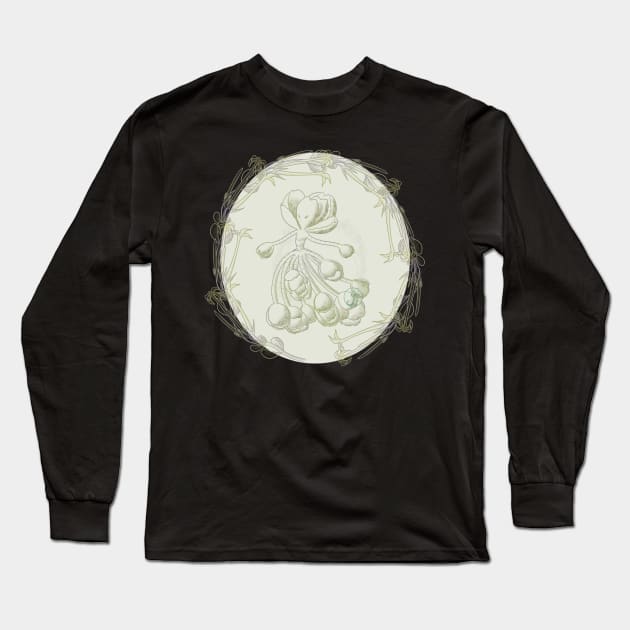 Succulent Sprite - kalanchoe marmorata Long Sleeve T-Shirt by JuditangeloZK